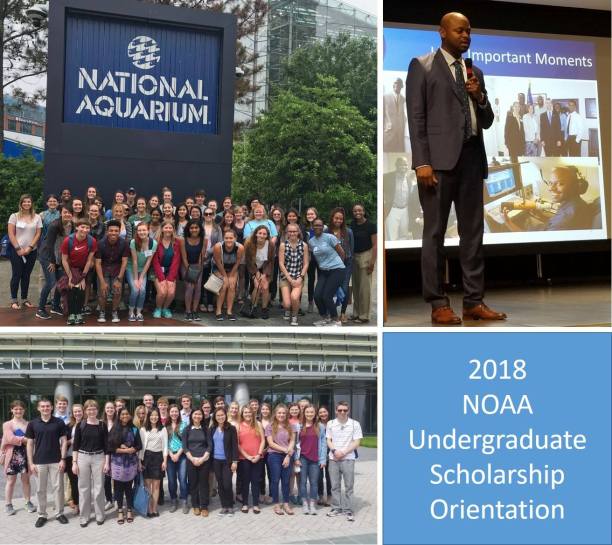 34471779_1749320311828073_7305488711909638144_o