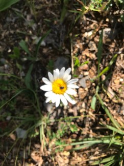 Photo Jun 21, 6 11 22 PM